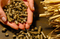 free Chalk biomass boiler quotes